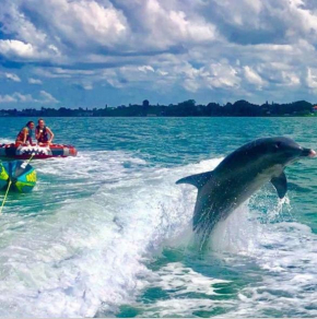 Catch of the Day at Harbor Towers on Siesta Key